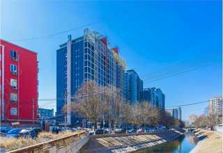 外国断发头皮护理产品类型