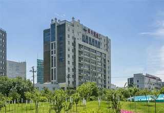 四川传统行业企业发展战略范文模板